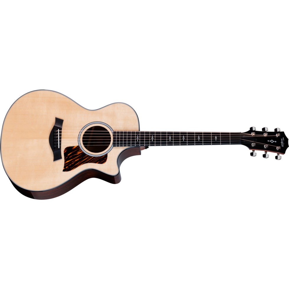 Taylor-Guitar-Next Generation